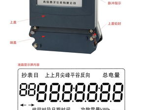 青島西子電表DTSF738三相四線電子式復費率電能表 功能解析與應用價值